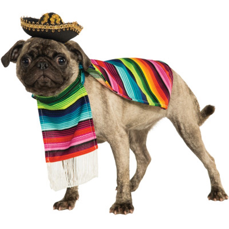Poncho And Sombrero Mexican Dog Costume for the 2022 Costume season.