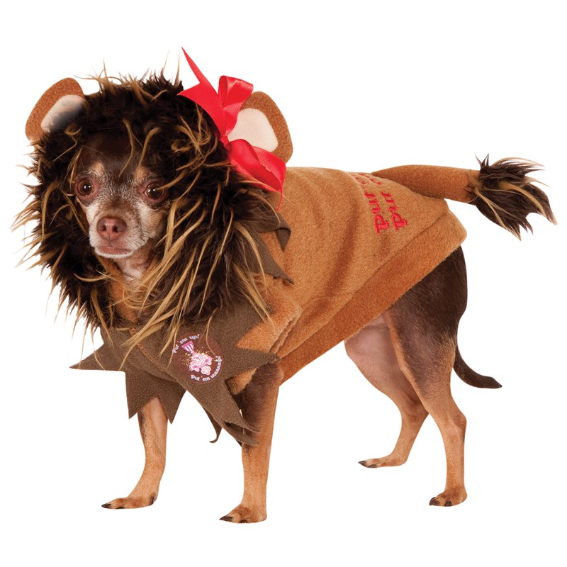 Wizard Of Oz   Cowardly Lion Dog Costume for the 2022 Costume season.