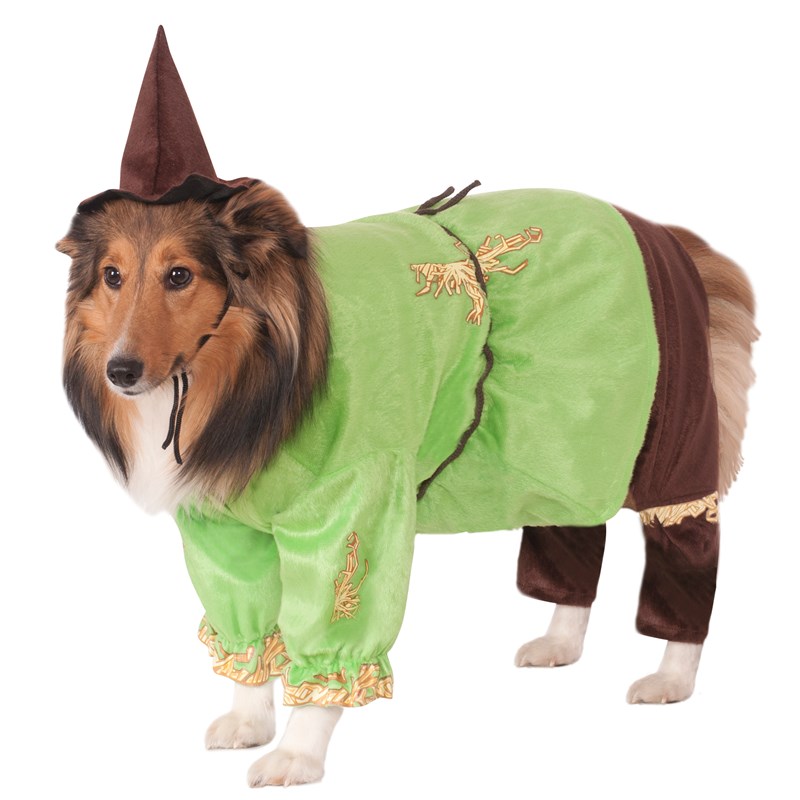 Wizard Of Oz   Scarecrow Dog Costume for the 2022 Costume season.