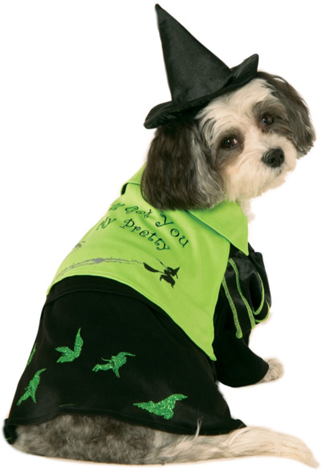 Wizard Of Oz - Wicked Witch Of The West Witch Dog Costume