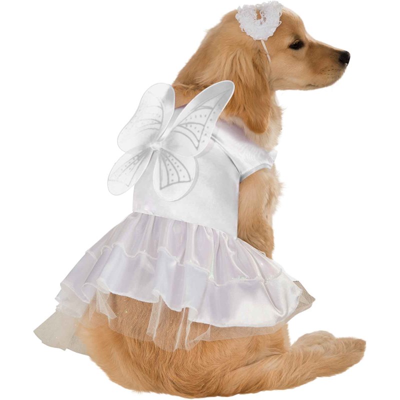 Angel Dog Costume for the 2022 Costume season.