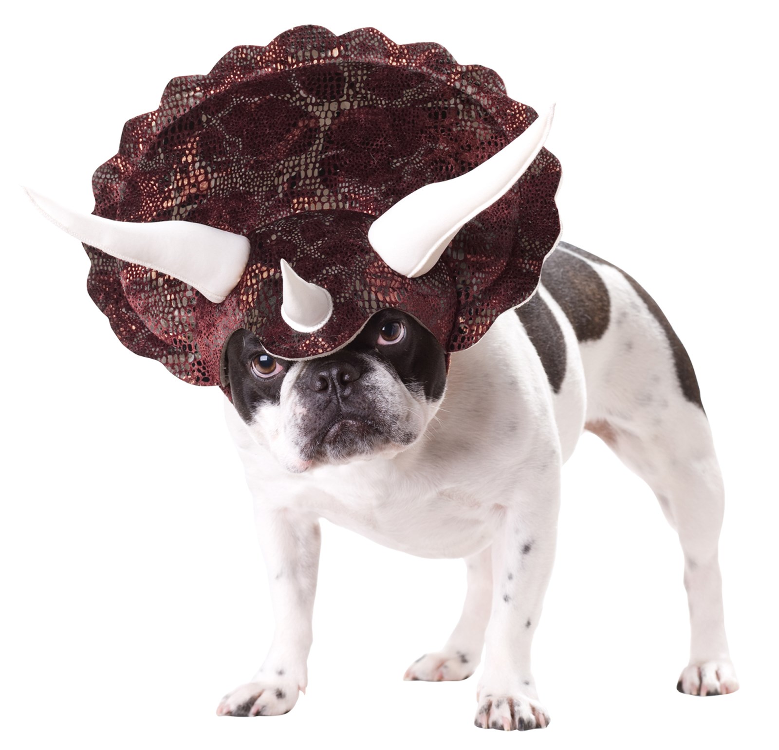 Triceratops Dog Costume