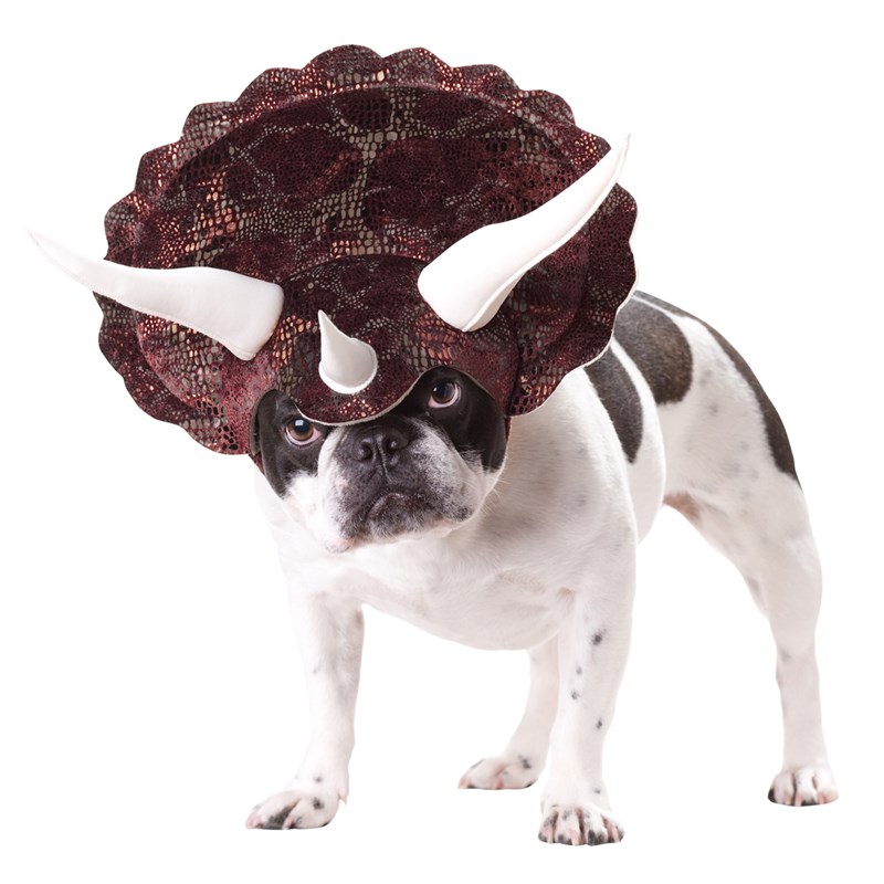 Triceratops Dog Costume for the 2022 Costume season.