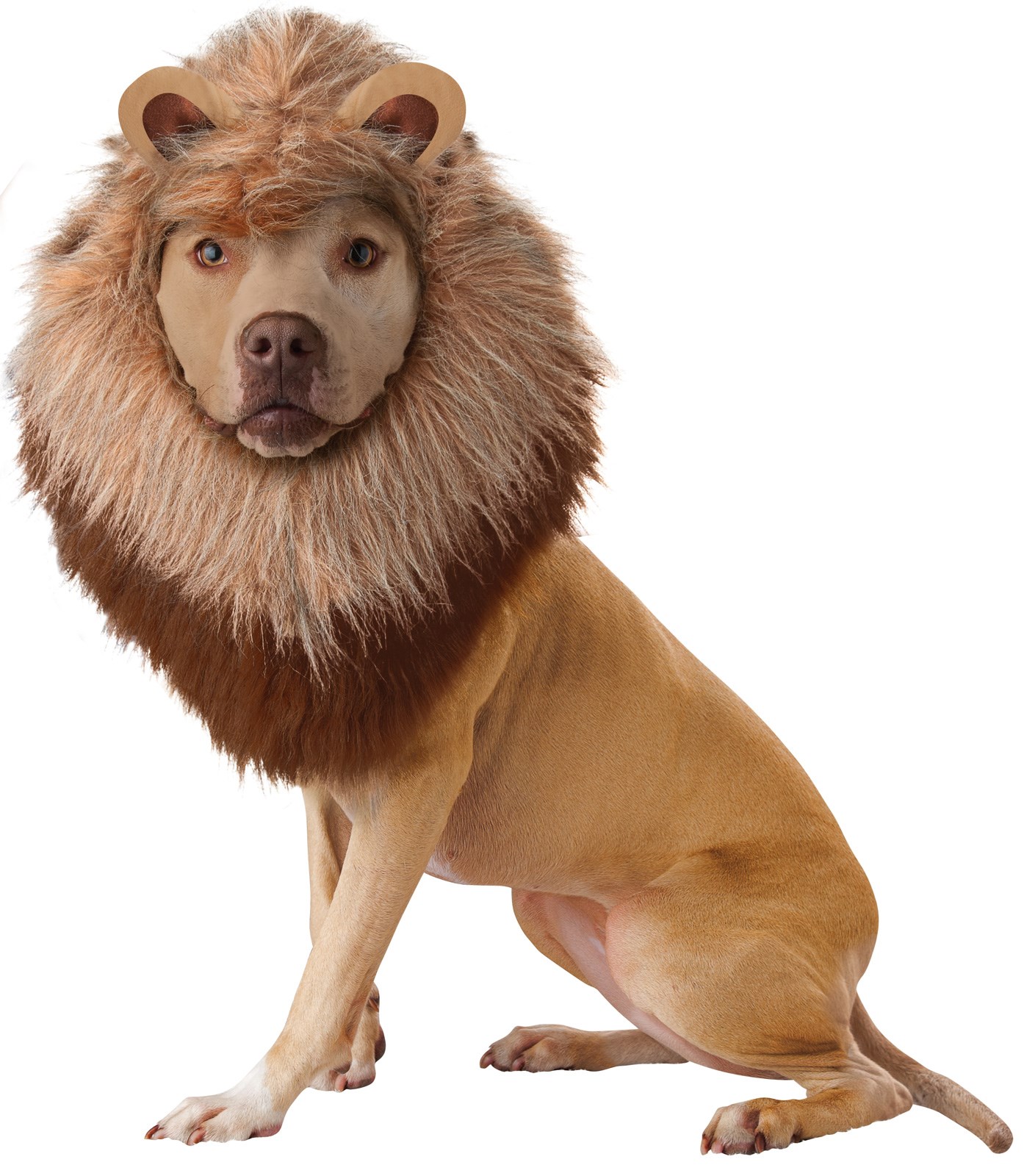 Animal Planet Lion Dog Costume