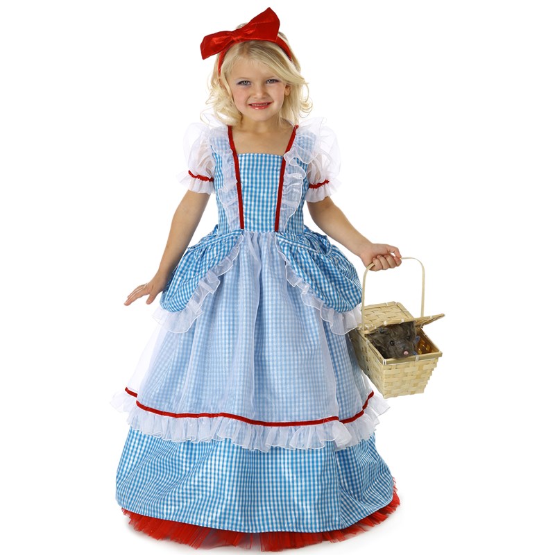 Wizard of Oz Pocket Deluxe Dorothy Costume for the 2022 Costume season.