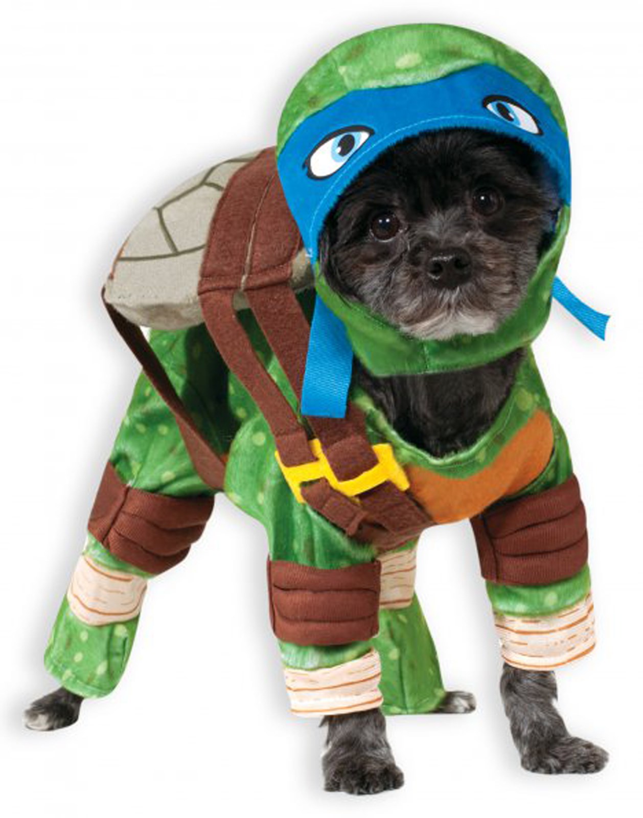 TMNT - Leonardo Pet Costume
