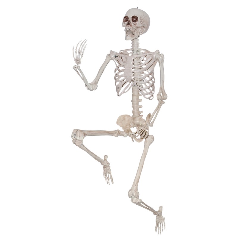 Lifesize Pose and Hold Skeleton for the 2022 Costume season.