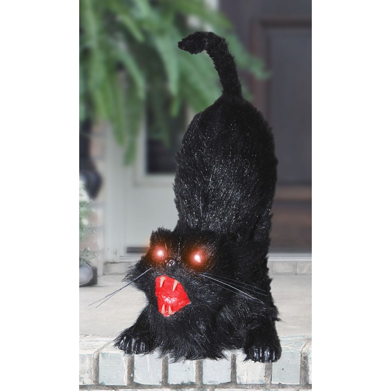 Animated Cat with Light Up Eyes for the 2022 Costume season.