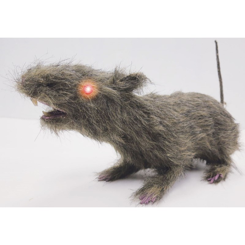 Brown Rat with Light Up Eyes for the 2022 Costume season.