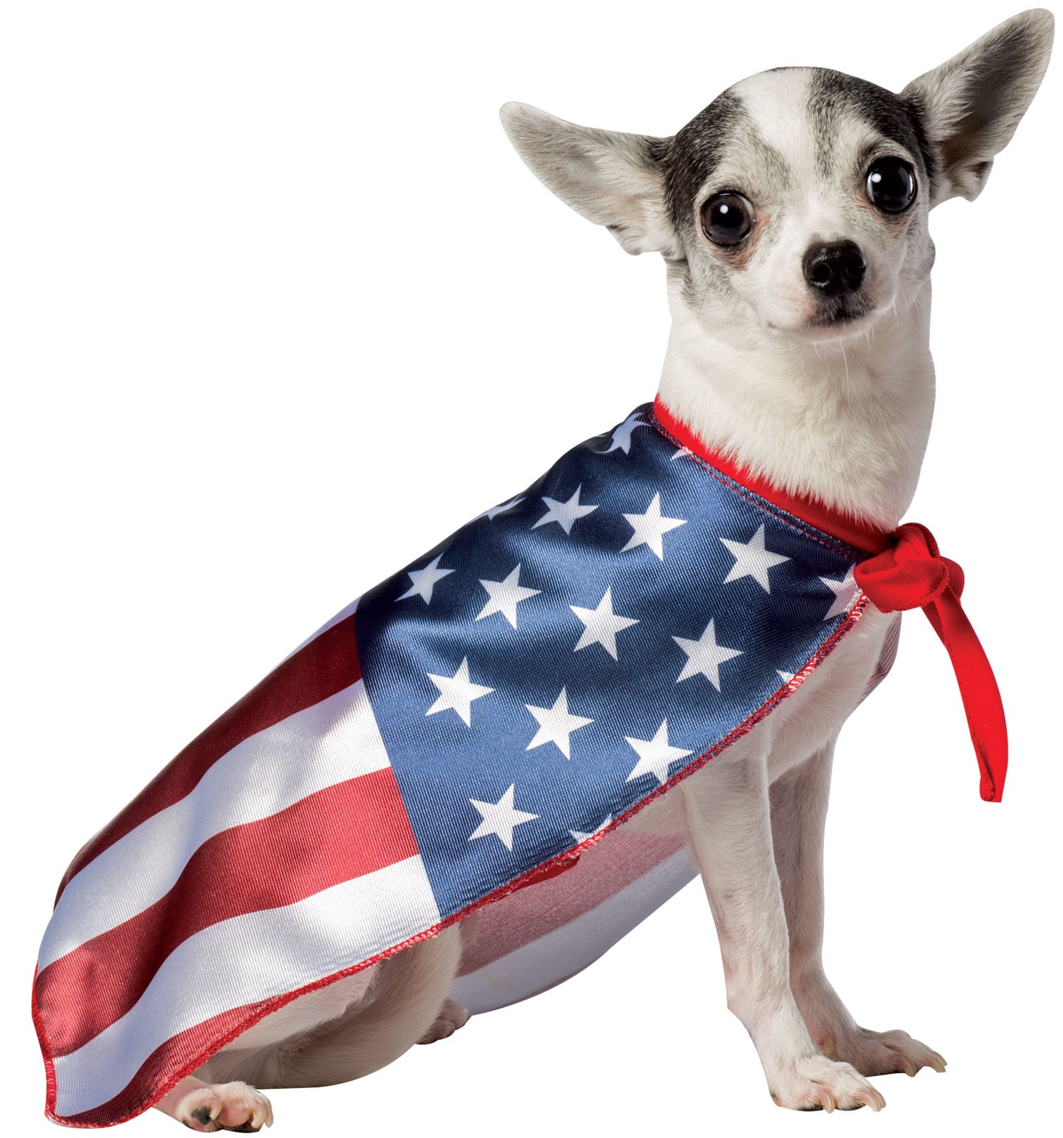 USA Flag Cape Pet Costume
