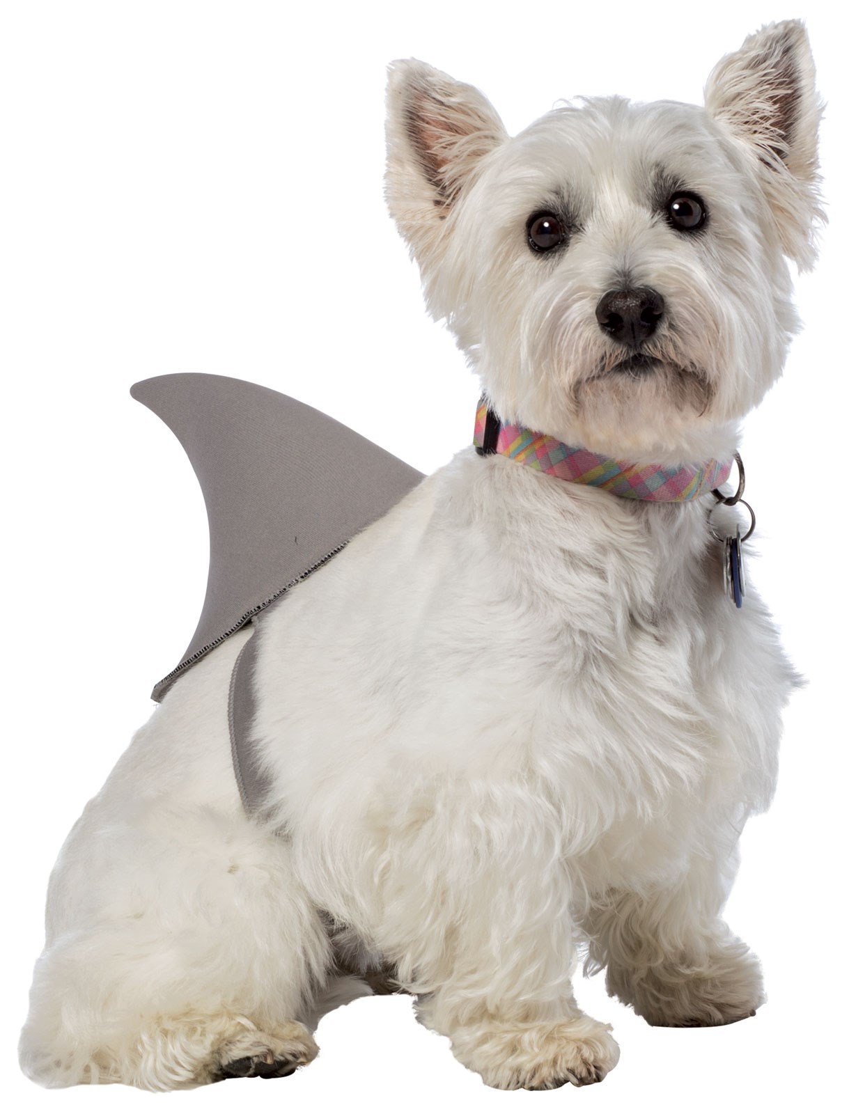 Shark Fin Pet Costume