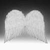 Child Feather Wings