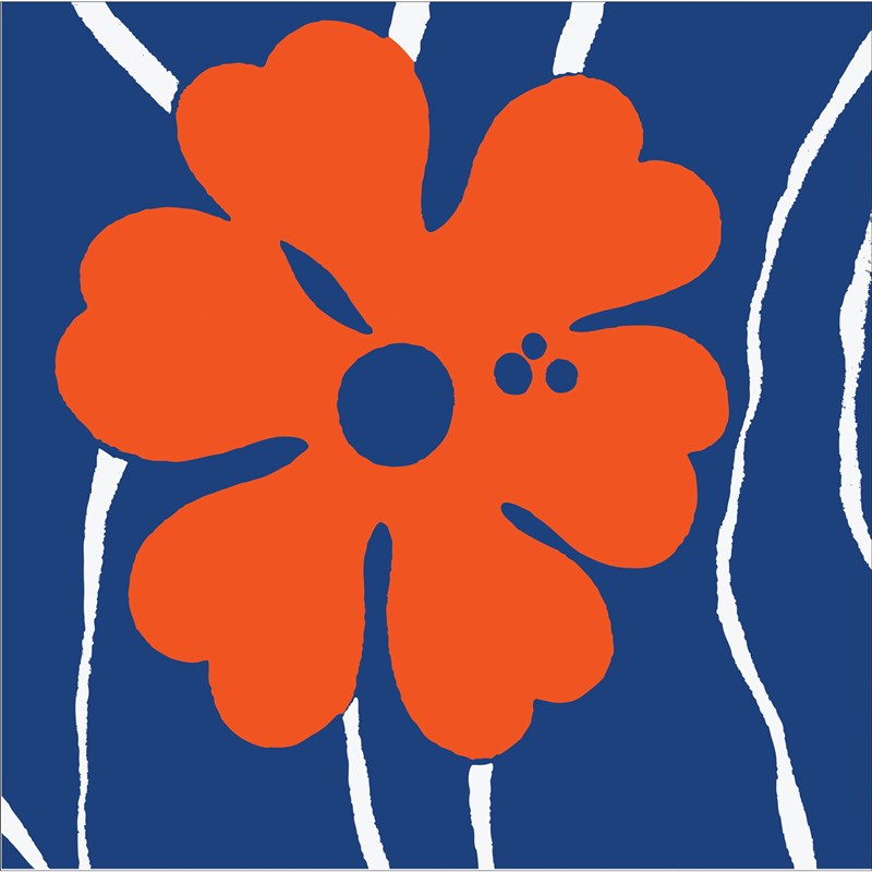 Navy and Orange Printed Lunch Napkins (16) for the 2022 Costume season.