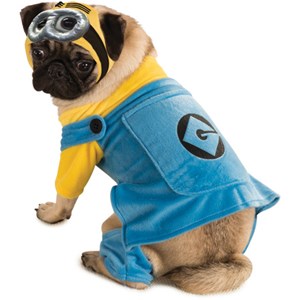 Despicable Me Dog Costume