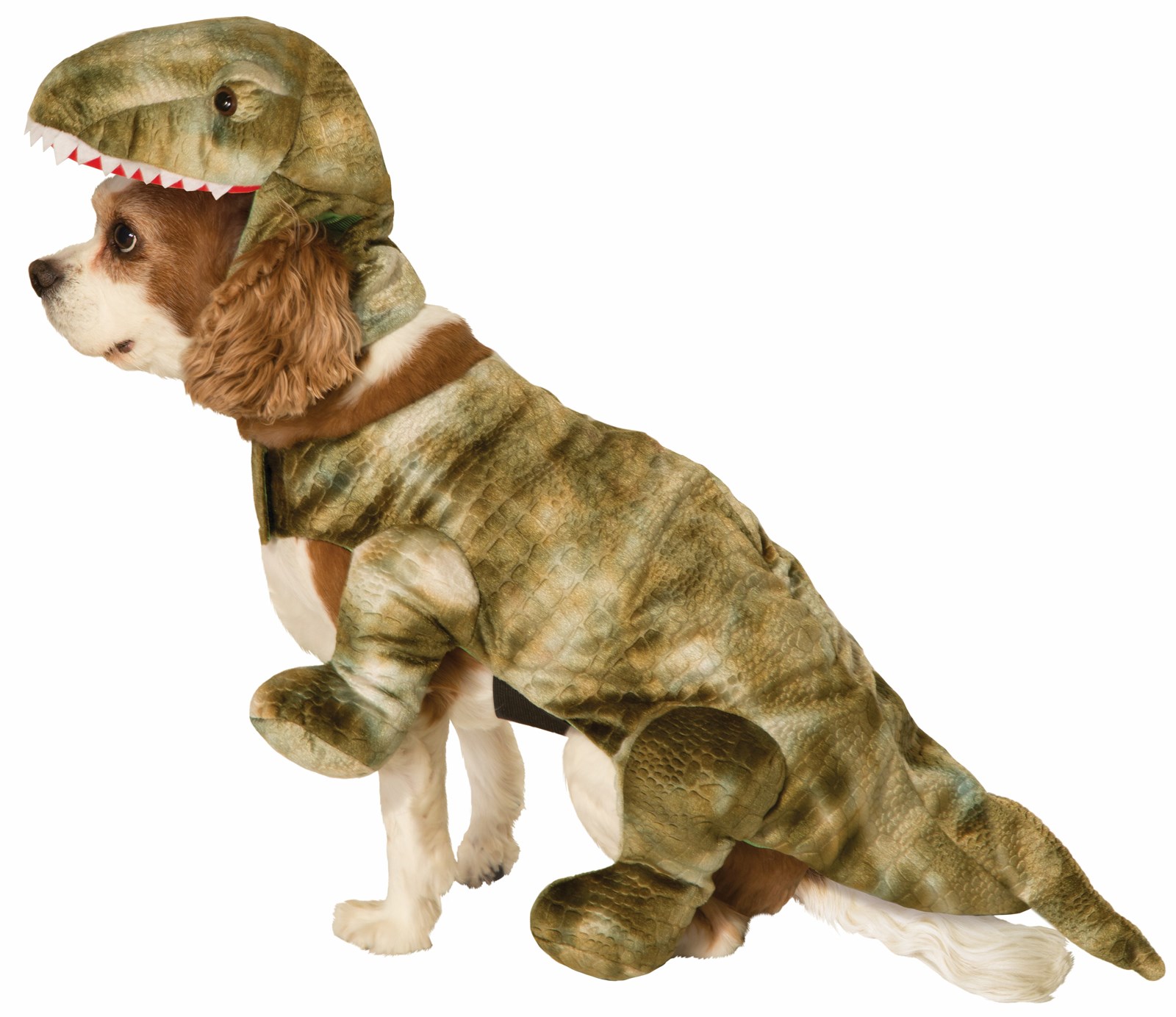 Pet Dinosaur Costume