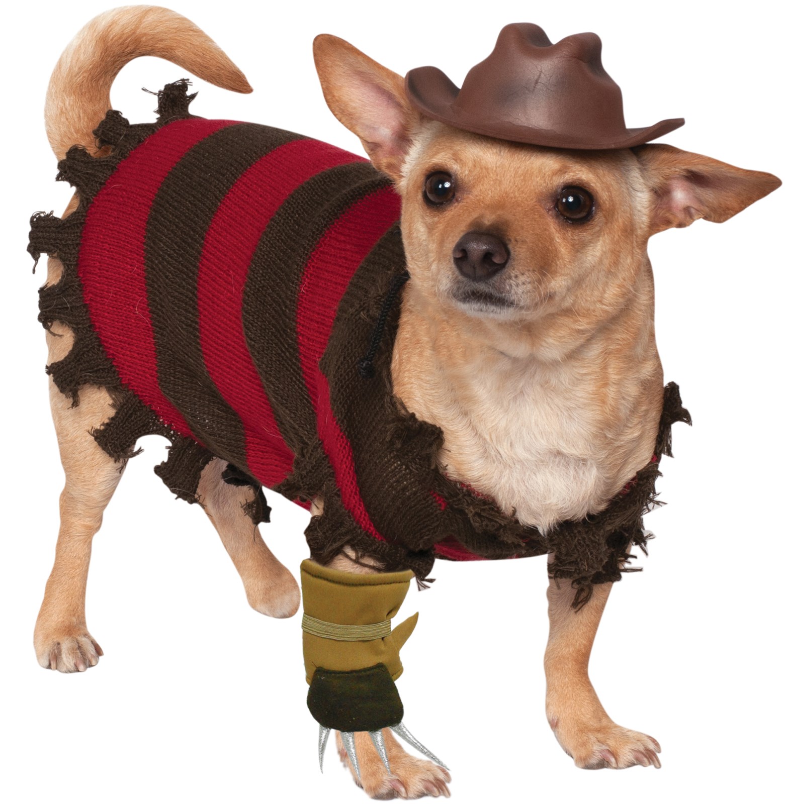Pet Freddy Kreuger Costume
