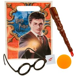 Harry Potter Party Favor Kits