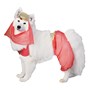 Harem Dog Pet Costume