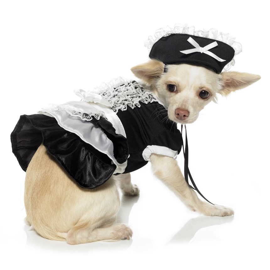 Halloween Costumes French Maid Dog Costume