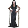  The Addams Family Morticia Adult Costume