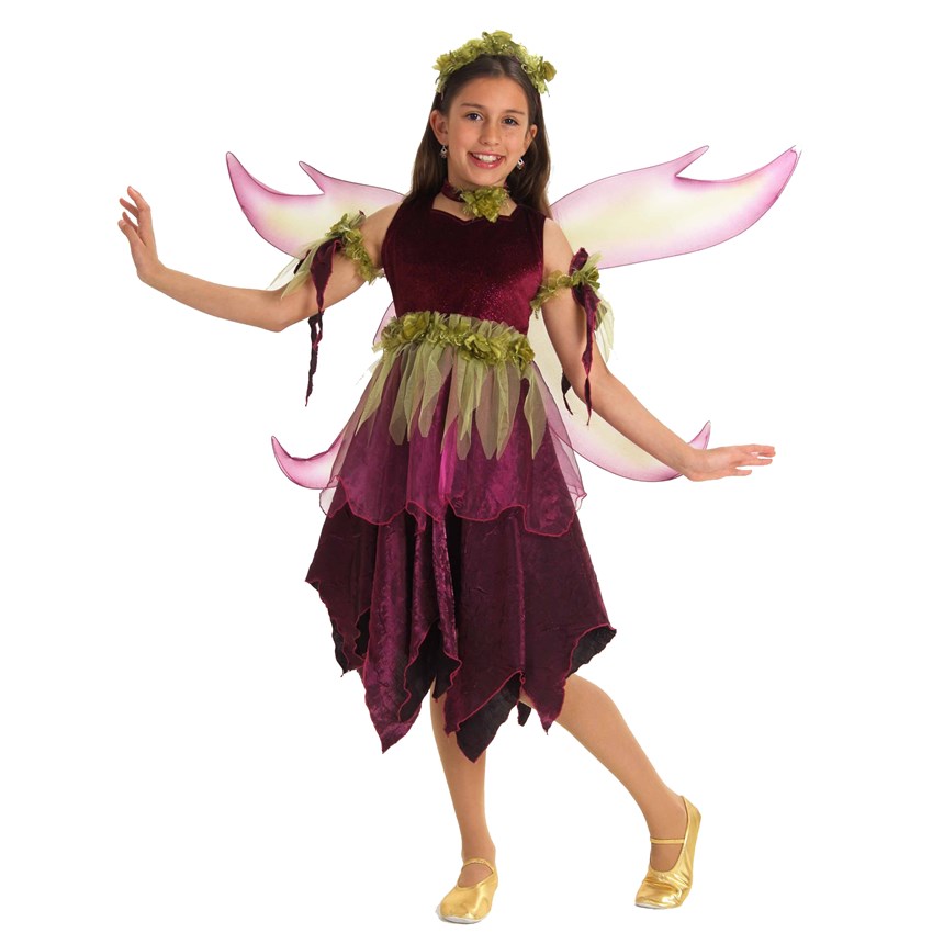 Halloween Costumes Sugar Plum Fairy Child Costume