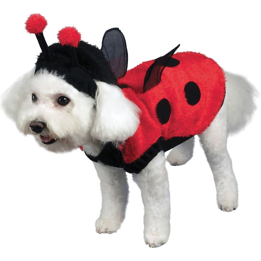Halloween Costumes Lovely Ladybug Dog Costume